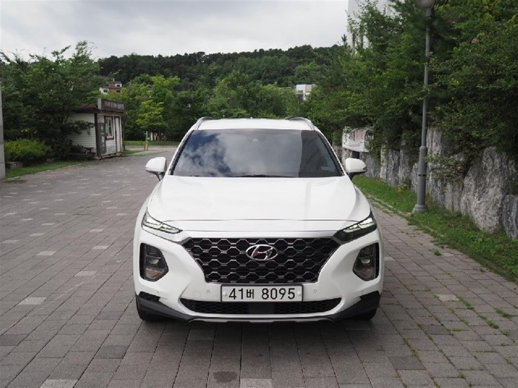  Ÿ(TM) 2.0T GDi 4WD Ƽ