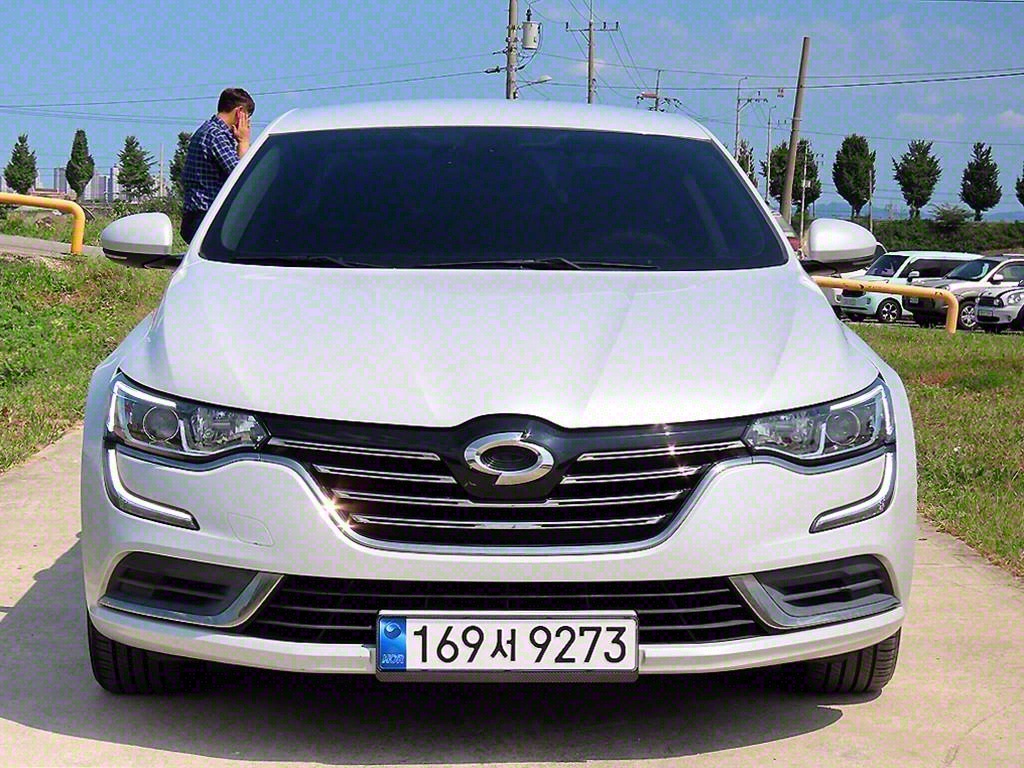 (Ｚ) SM6 1.5 dCi LE