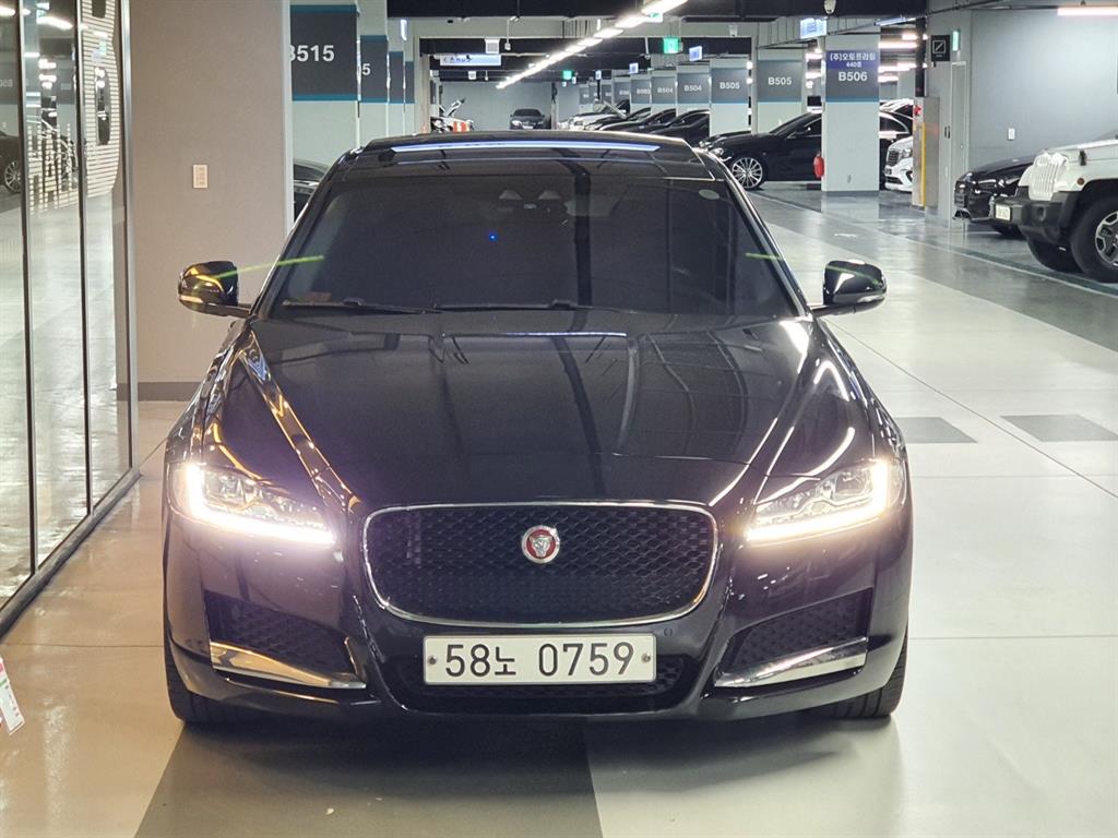Ծ XF(2) 2.0 25t Ʈ