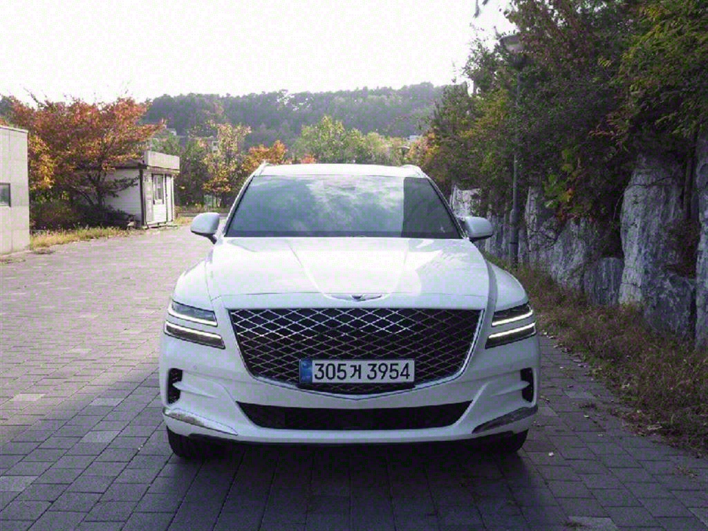 ׽ý GV80 2.5 ָ AWD ⺻
