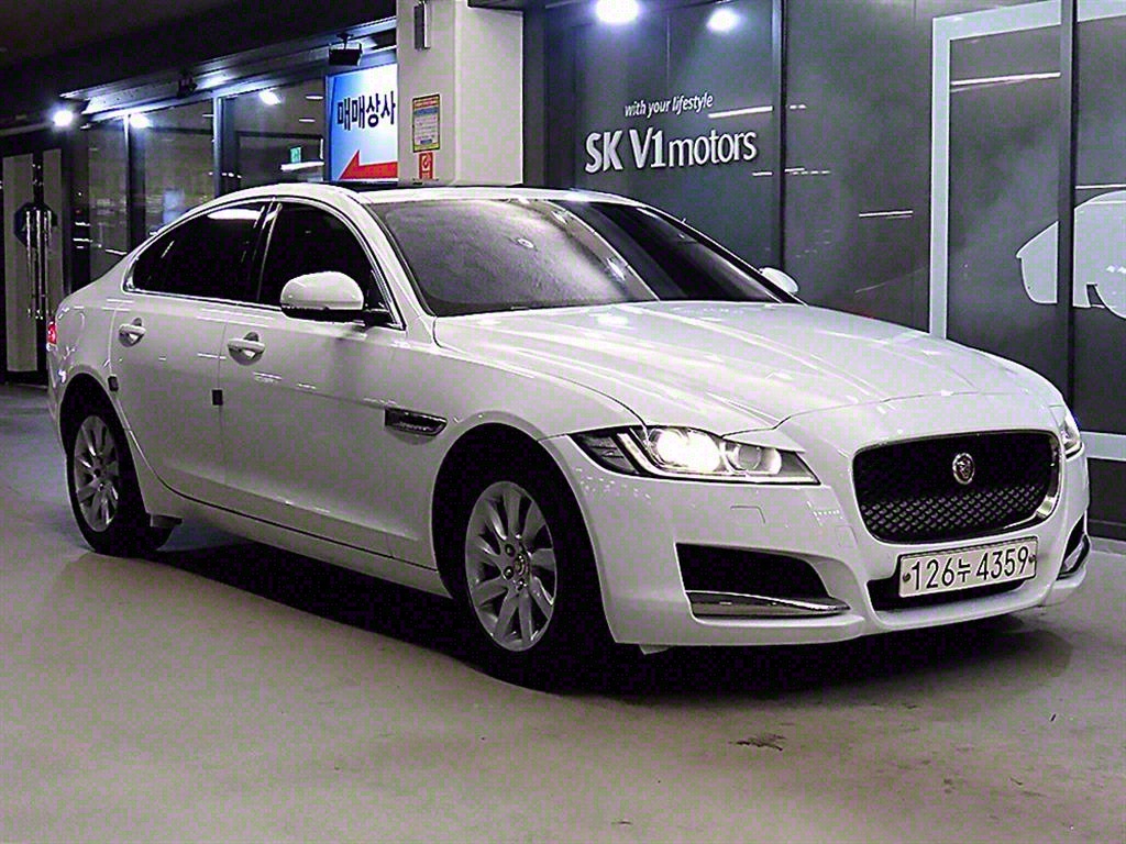 Ծ XF(2) 2.0 20d Ƽ