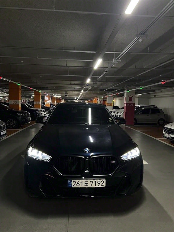 BMW X6(3) M60i xDrive 