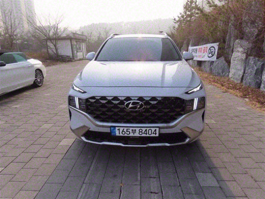   Ÿ ̺긮 1.6 HEV 2WD Ķ׷