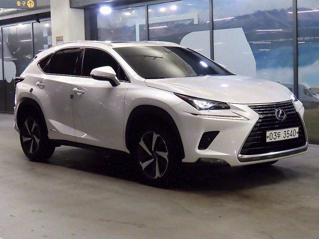  NX 300h 