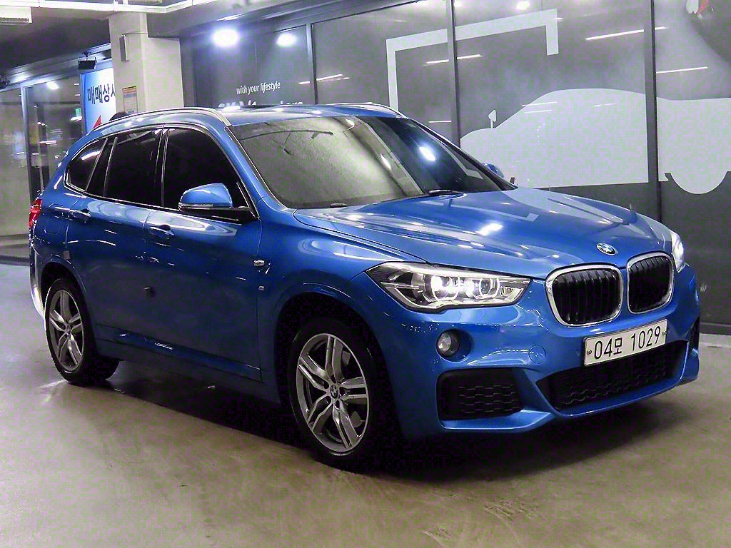 BMW X1(2) 20d xDrive 