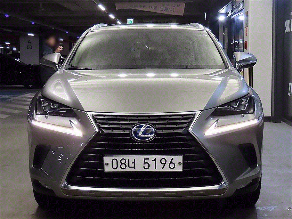  NX 300h 