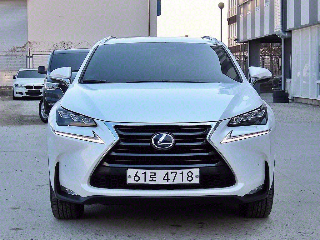  NX 300h 
