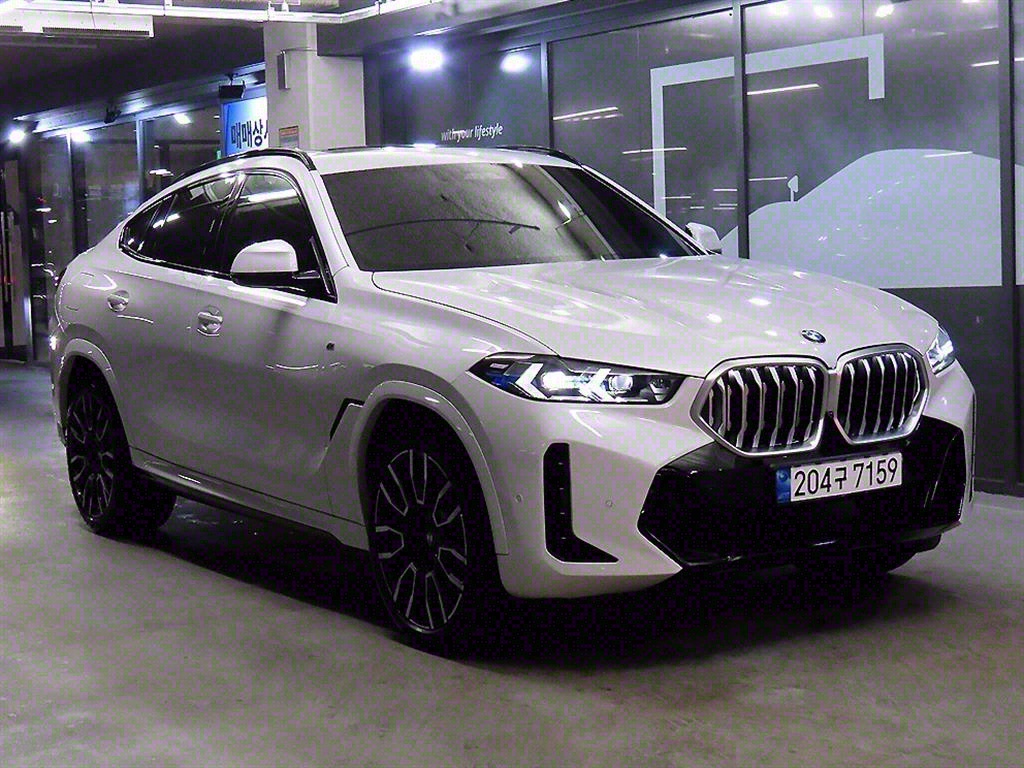 BMW X6(3) 40i xDrive M 