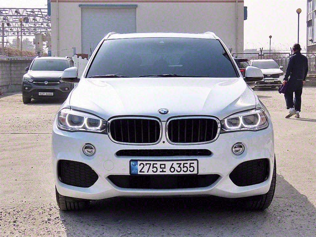 BMW X5(3) 30d xDrive M 