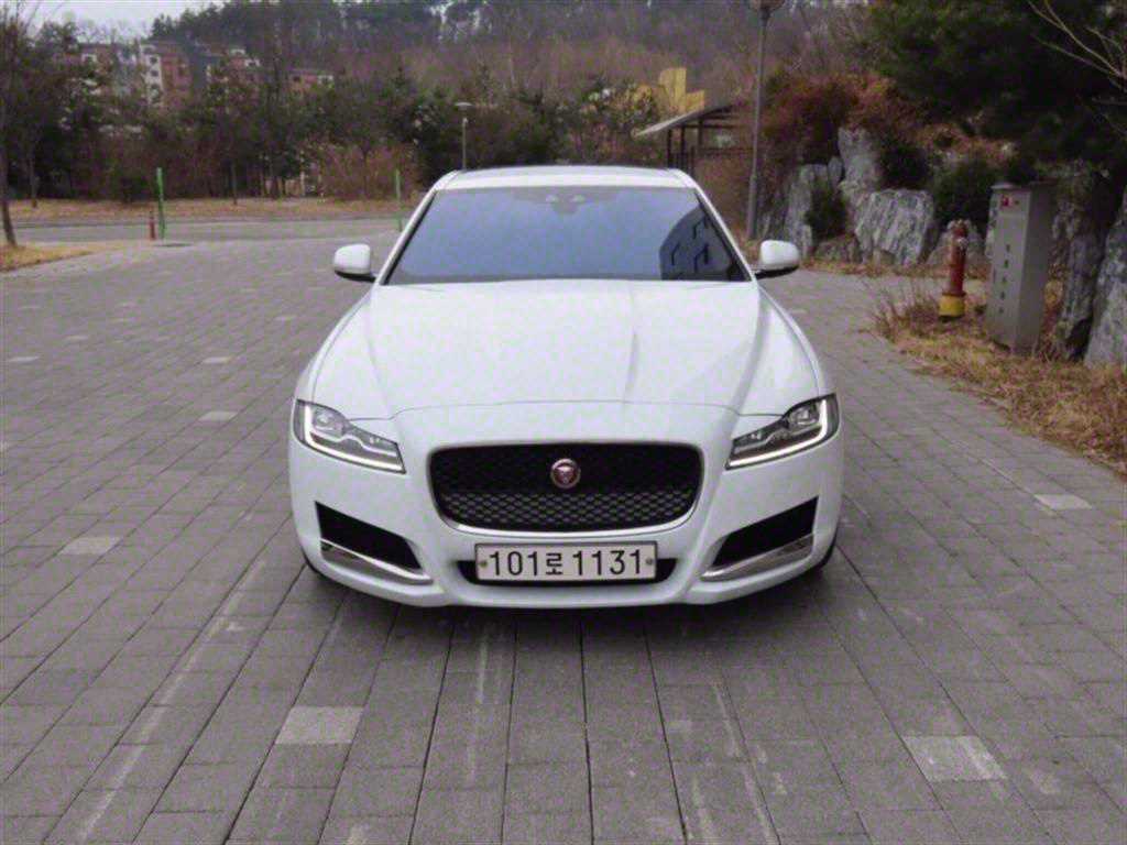 Ծ XF(2) 2.0 20d Ʈ
