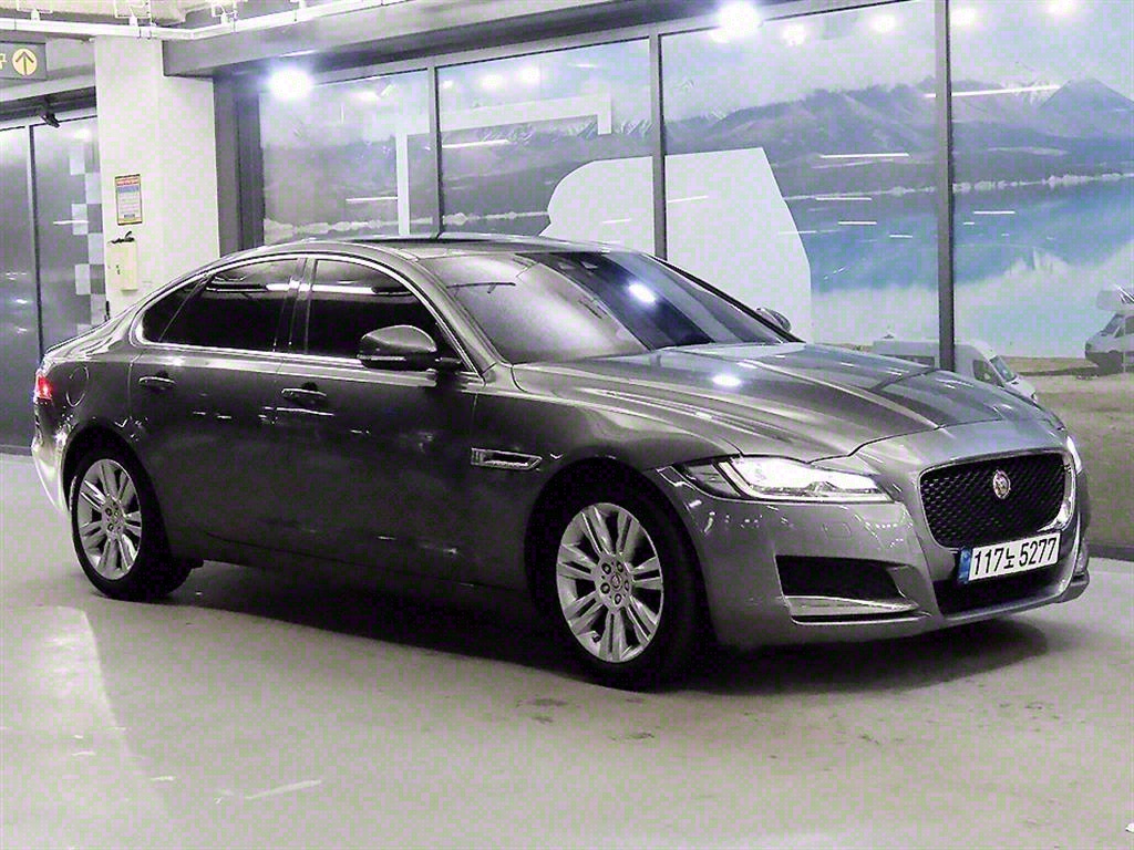 Ծ XF(2) 2.0 20d Ʈ