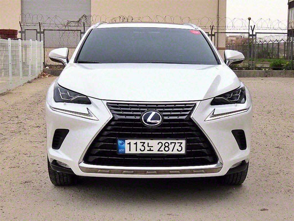  NX 300h 