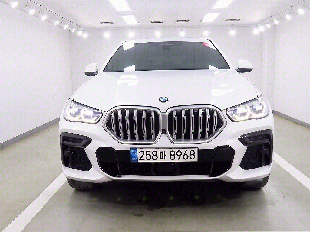 BMW X6(3) 30d xDrive M 
