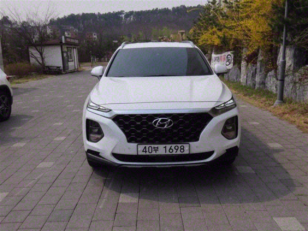  Ÿ(TM) 2.0T GDi 2WD Ƽ
