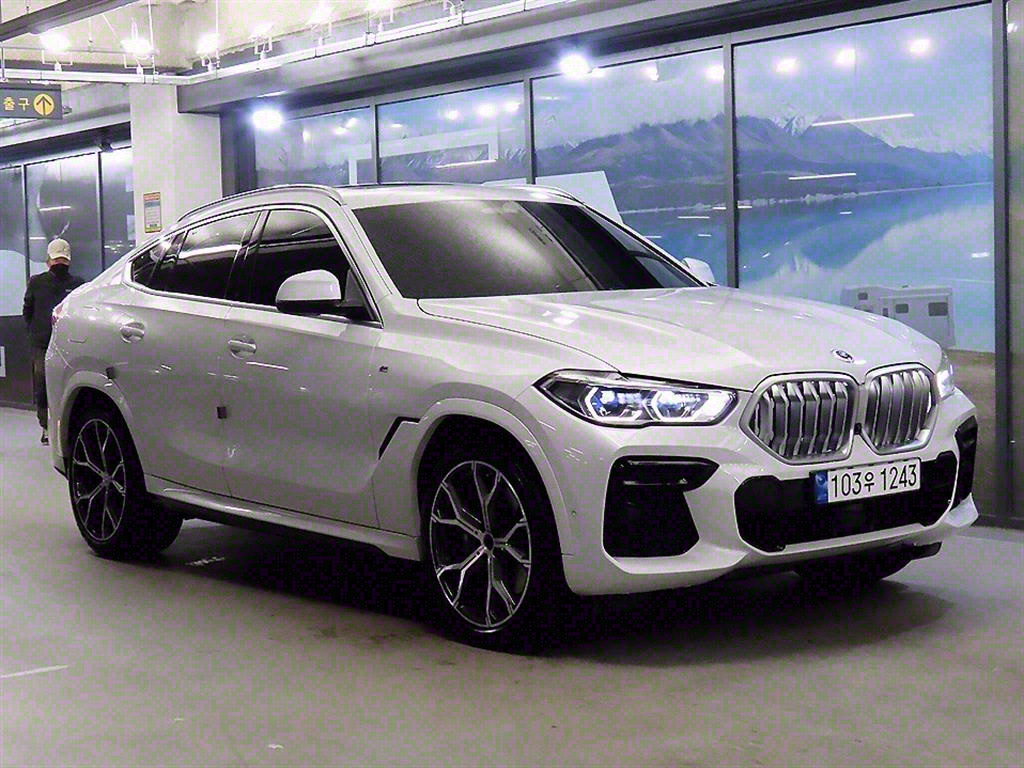 BMW X6(3) 30d xDrive M 