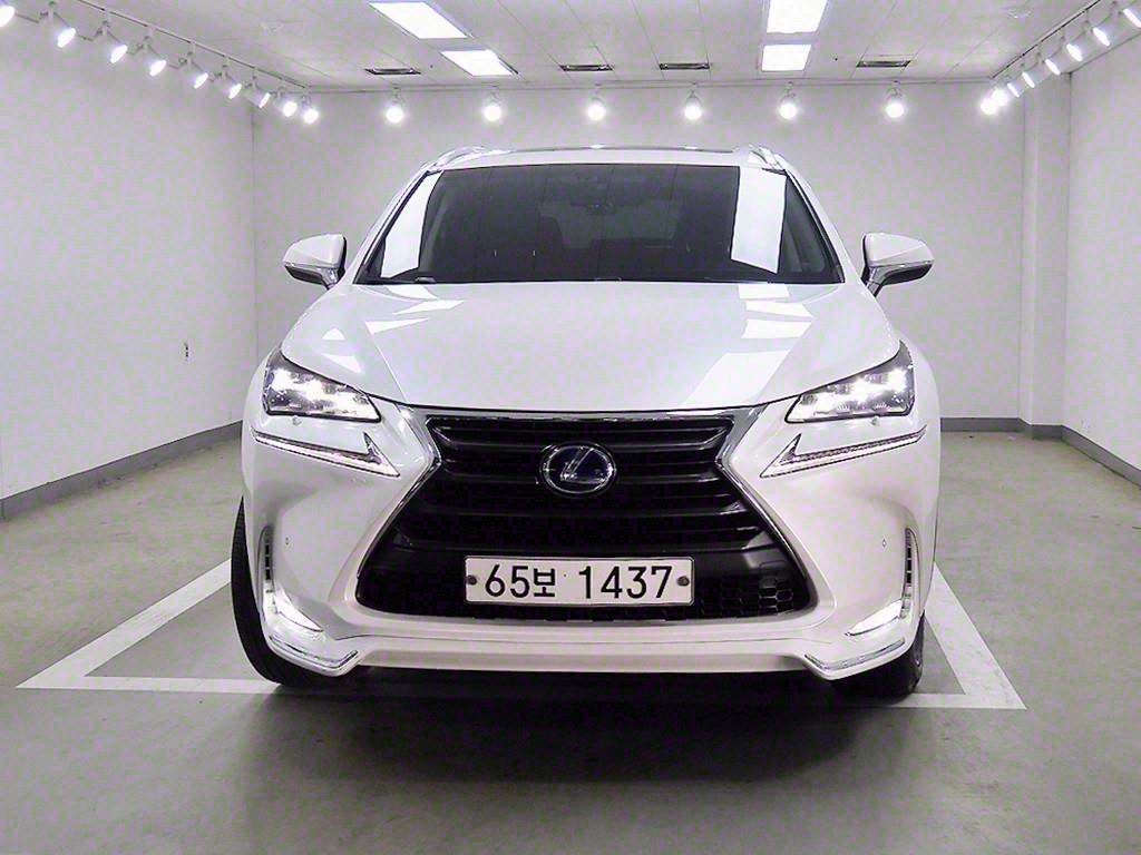  NX 300h 