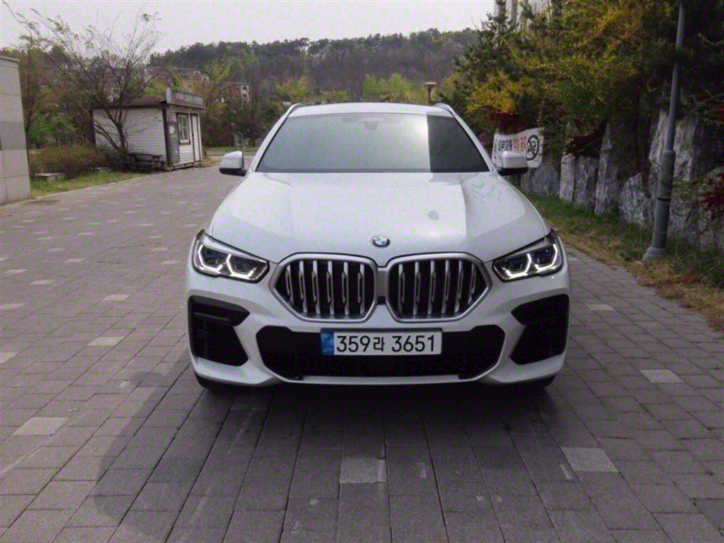 BMW X6(3) 40i xDrive M 