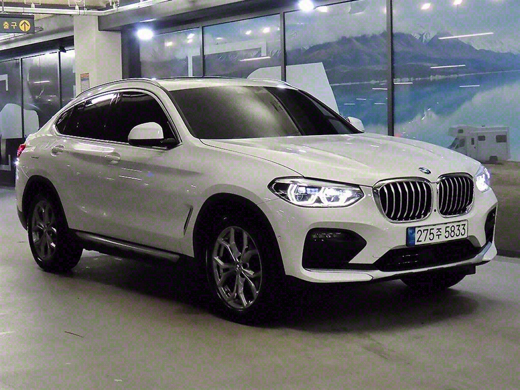 BMW X4(2) 20i xDrive x