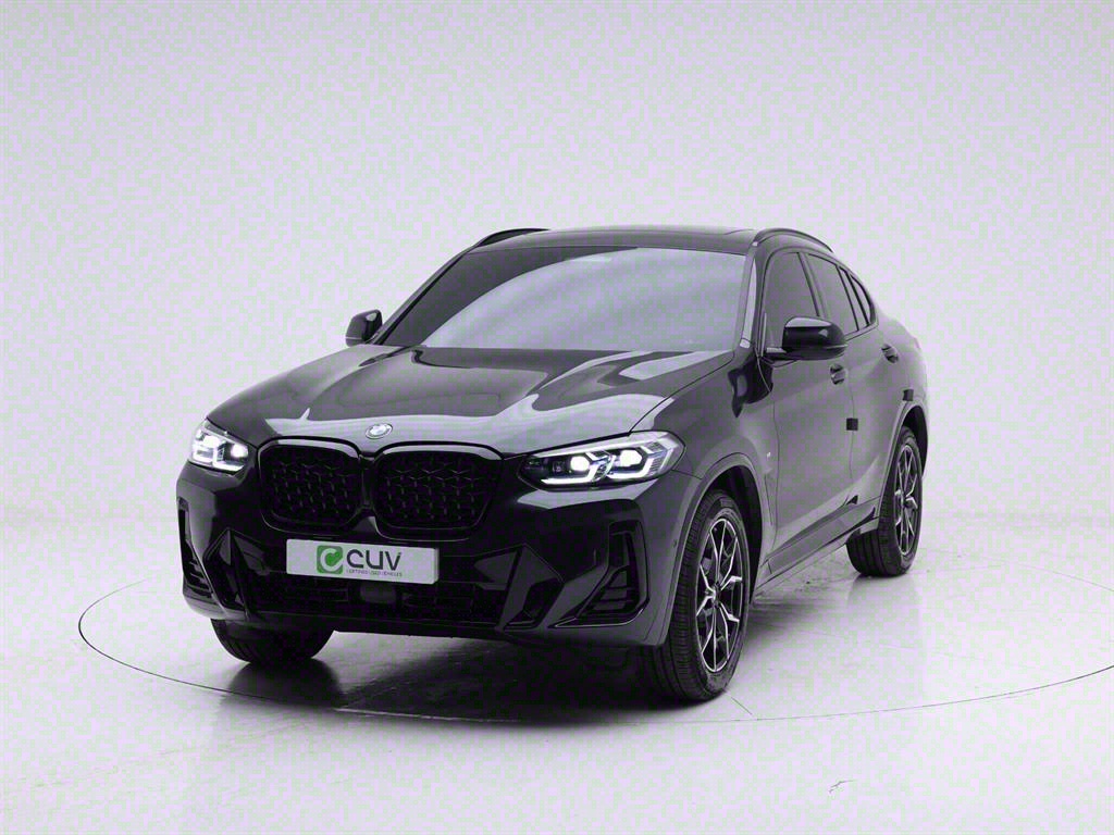 BMW X4(2) 20i xDrive M 