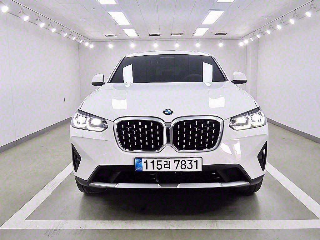 BMW X4(2) 20i xDrive x