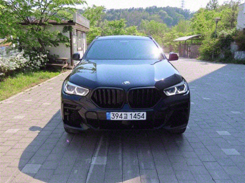 BMW X6(3) 40i xDrive M 