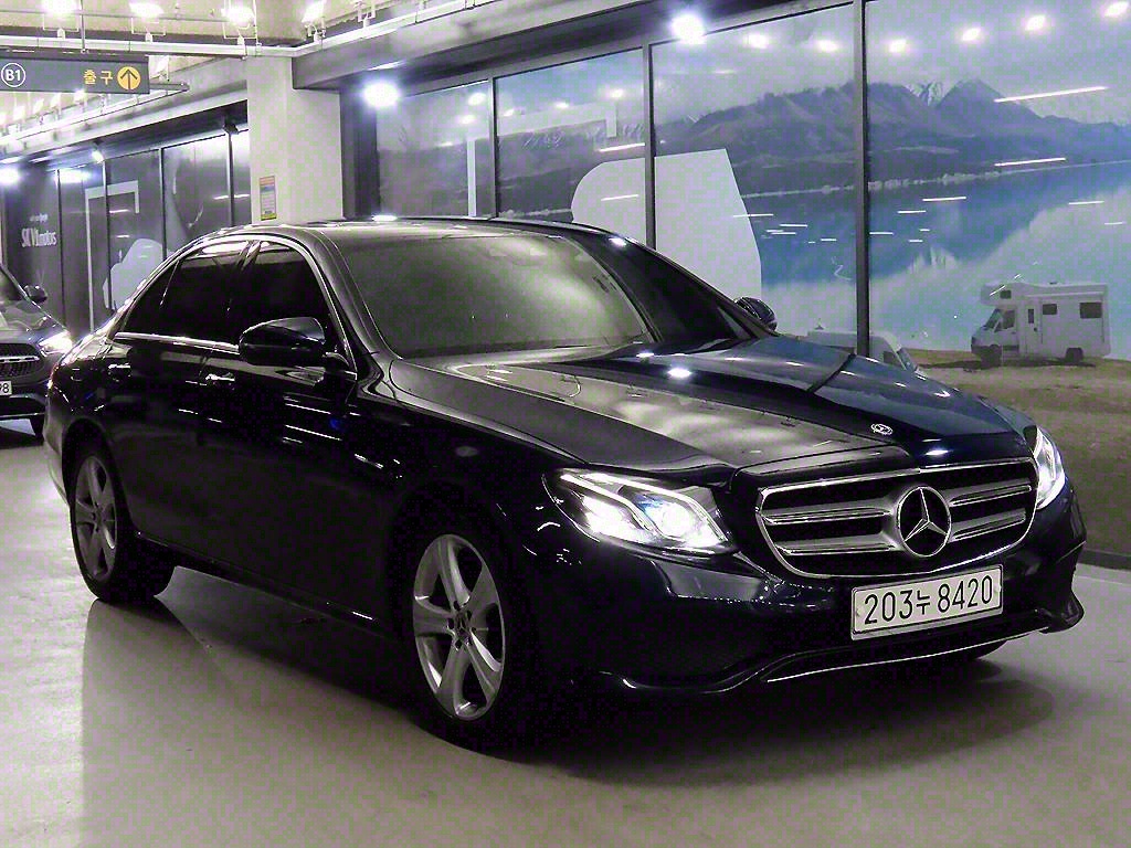  EŬ(5) E220d ƹ氡