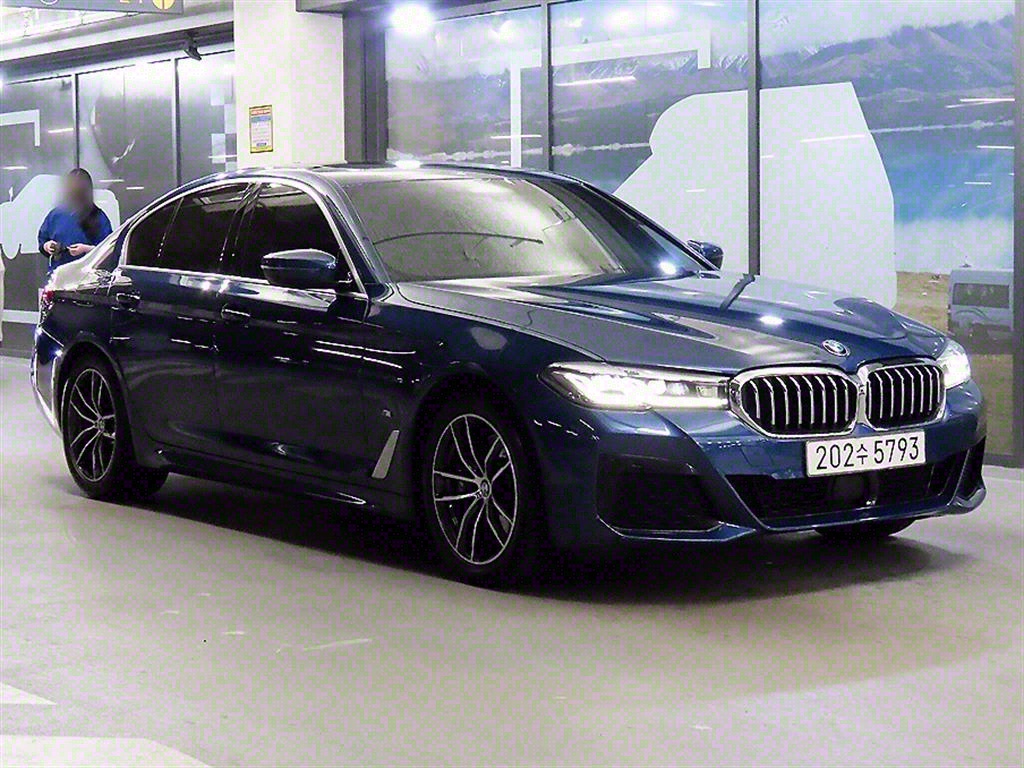 BMW 5ø(7)  523d M 
