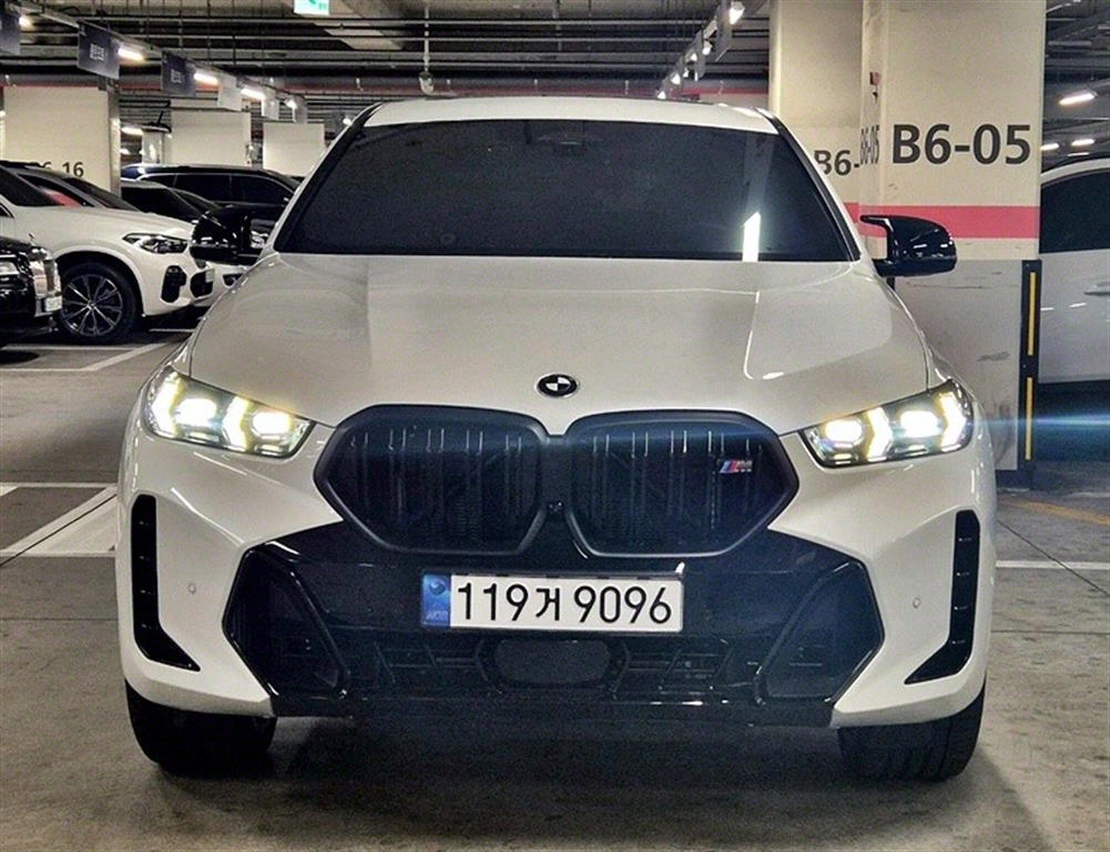 BMW X6(3) M60i xDrive 