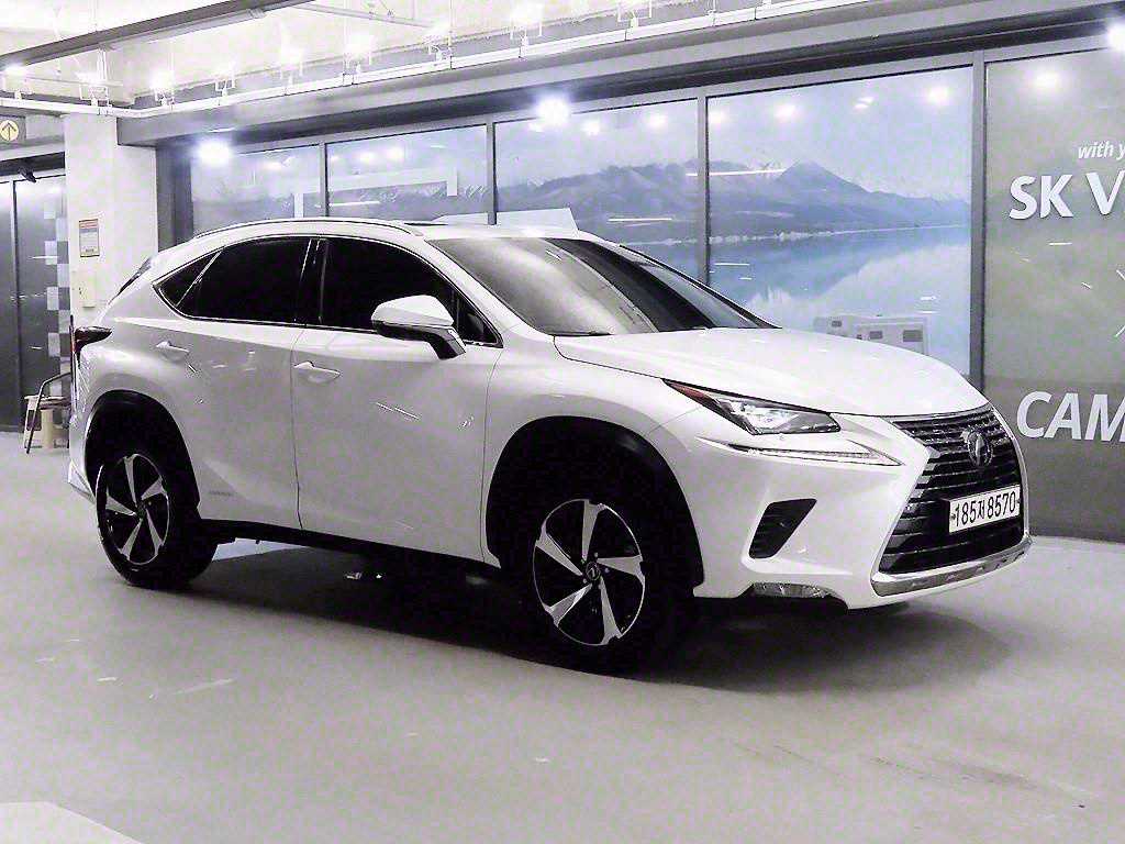  NX 300h ̱ťƼ