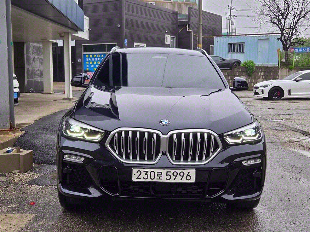 BMW X6(3) 30d xDrive M 