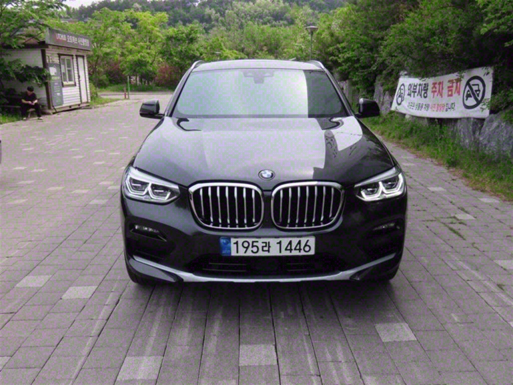 BMW X4(2) 20i xDrive x