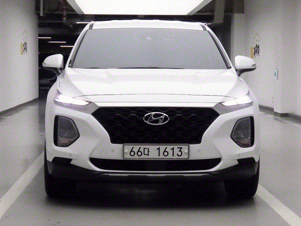  Ÿ(TM) 2.0T GDi 2WD ̾