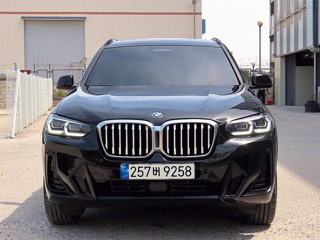 BMW X3(3) 30e xDrive M 
