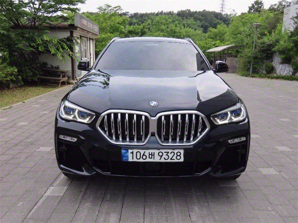 BMW X6(3) 40i xDrive M 