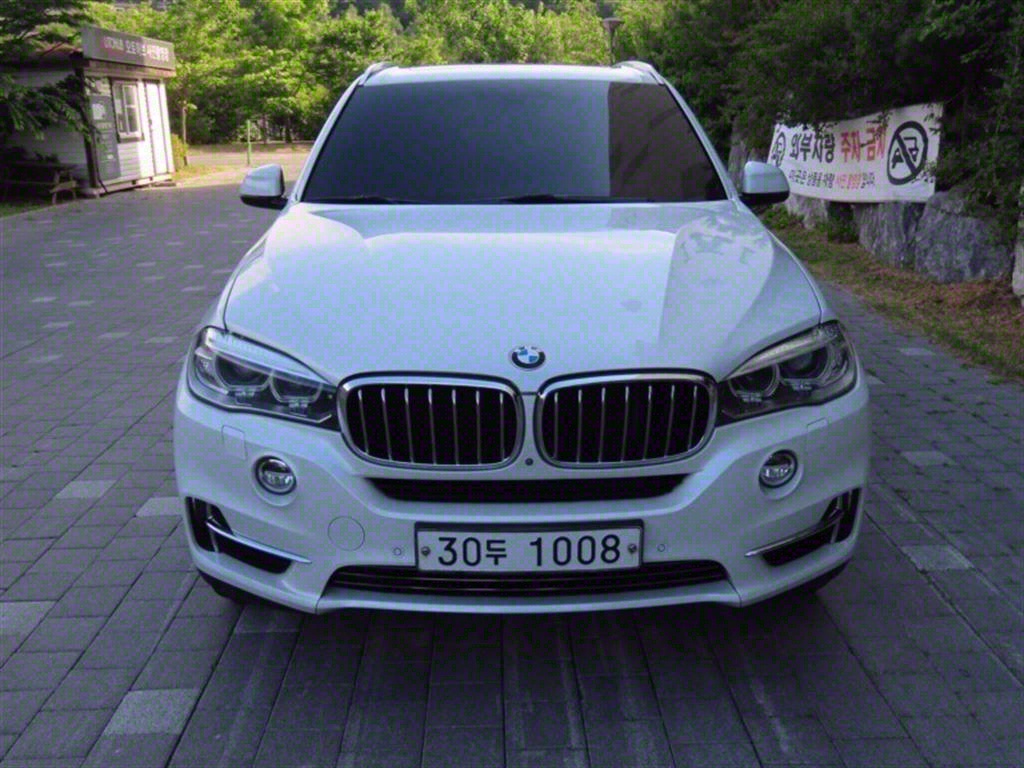 BMW X5(3) 30d xDrive ġ1