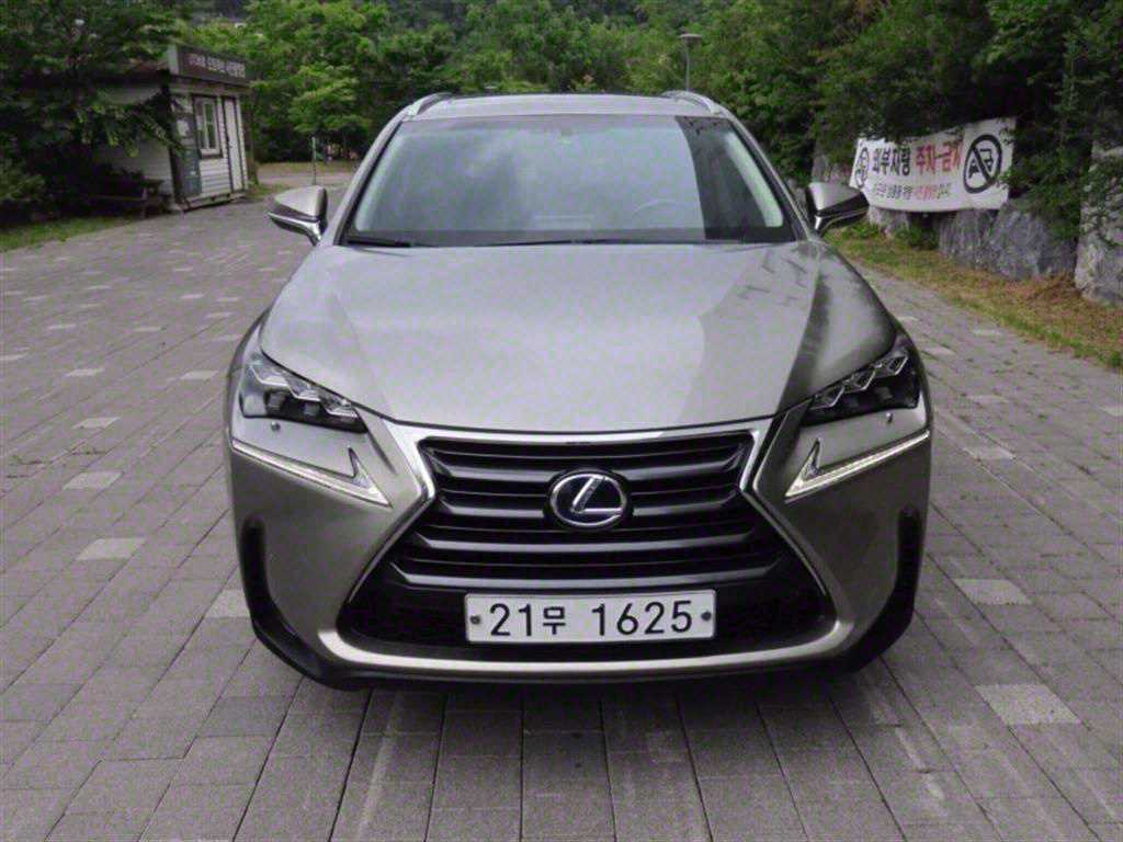  NX 300h 