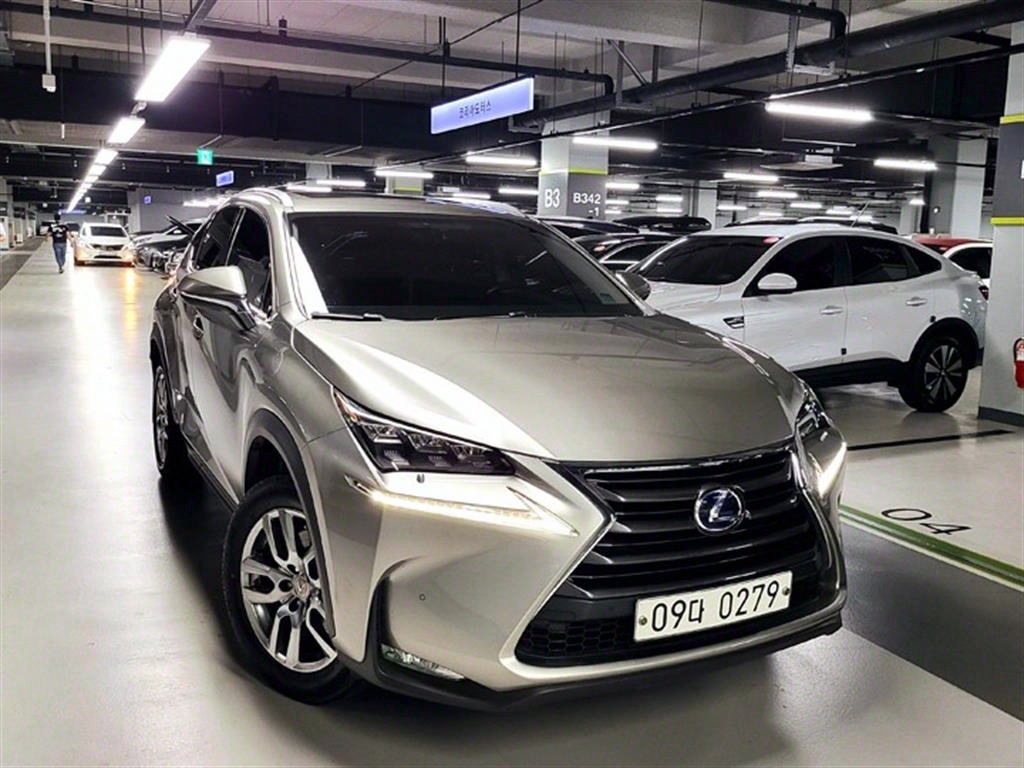  NX 300h 