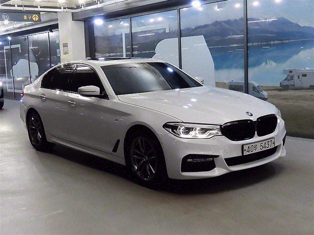 BMW 5ø(7)  520d M ÷