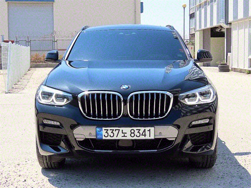 BMW X4(2) 20i xDrive M X