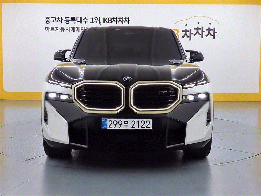 BMW XM 4.4 V8 PHEV Ʈ 