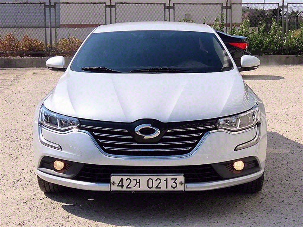 (Ｚ) SM6 1.5 dCi PE