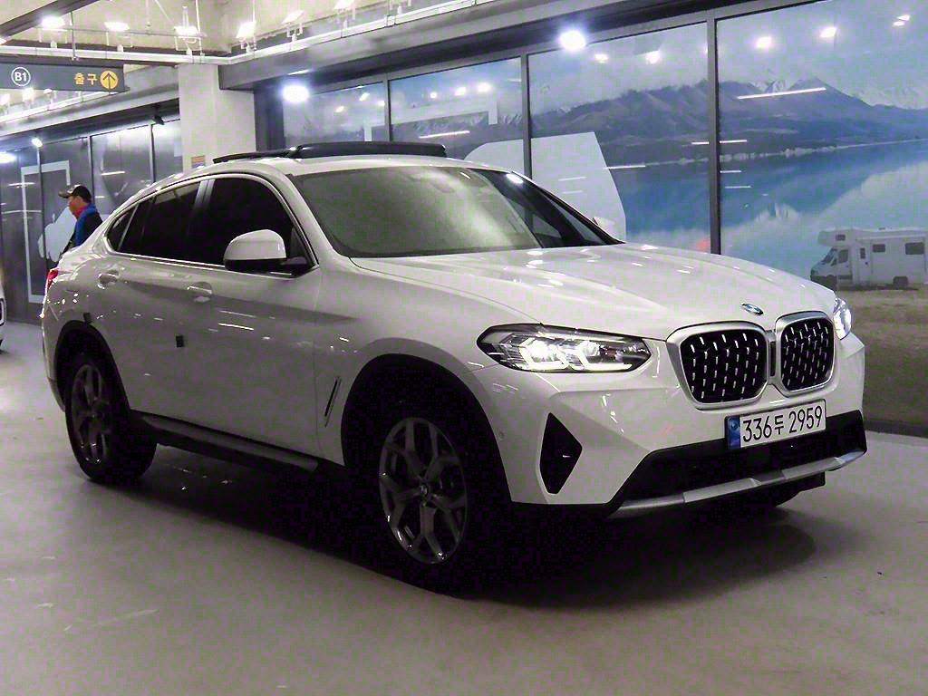 BMW X4(2) 20i xDrive x