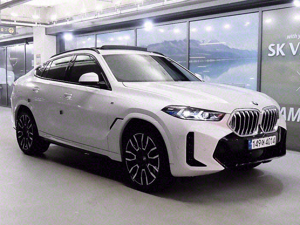 BMW X6(3) 40i xDrive M 