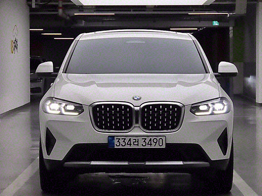 BMW X4(2) 20i xDrive x