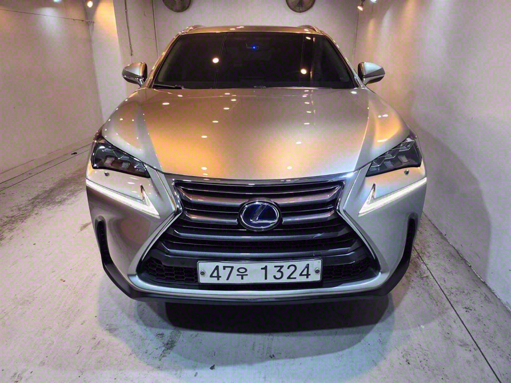  NX 300h 