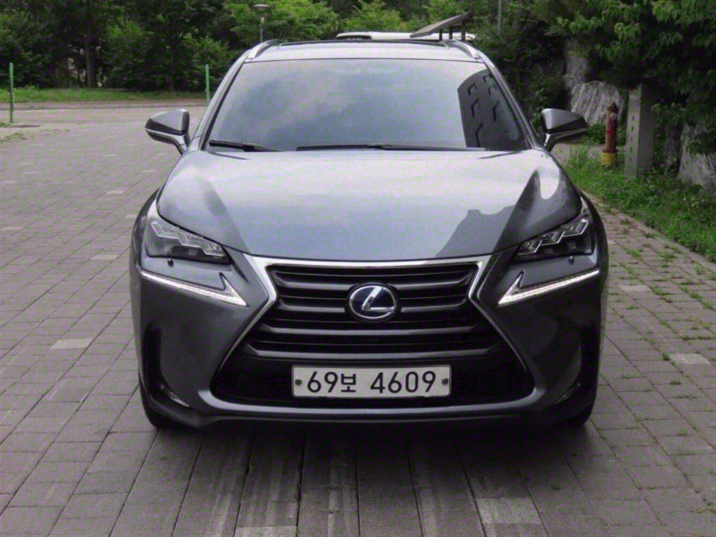  NX 300h 