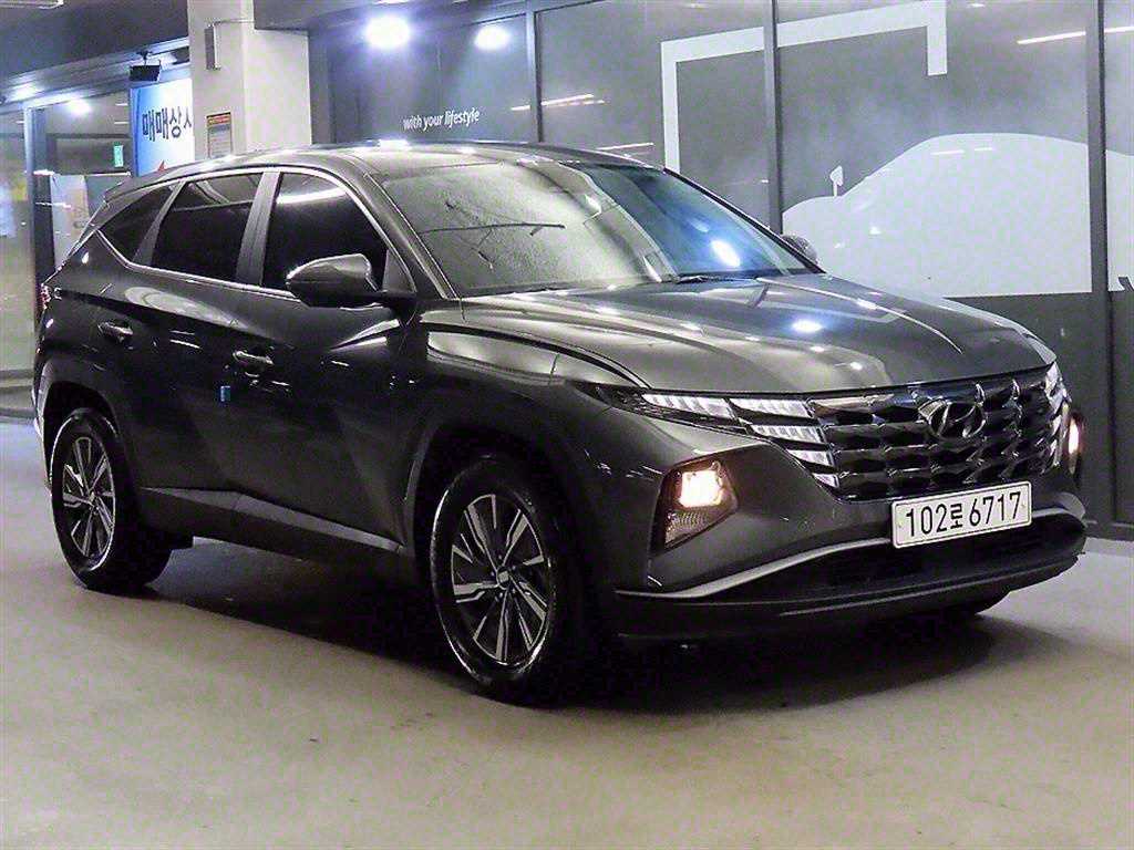   ô ̺긮 1.6 HEV 2WD 