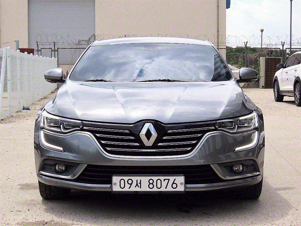 (Ｚ) SM6 1.5 dCi LE