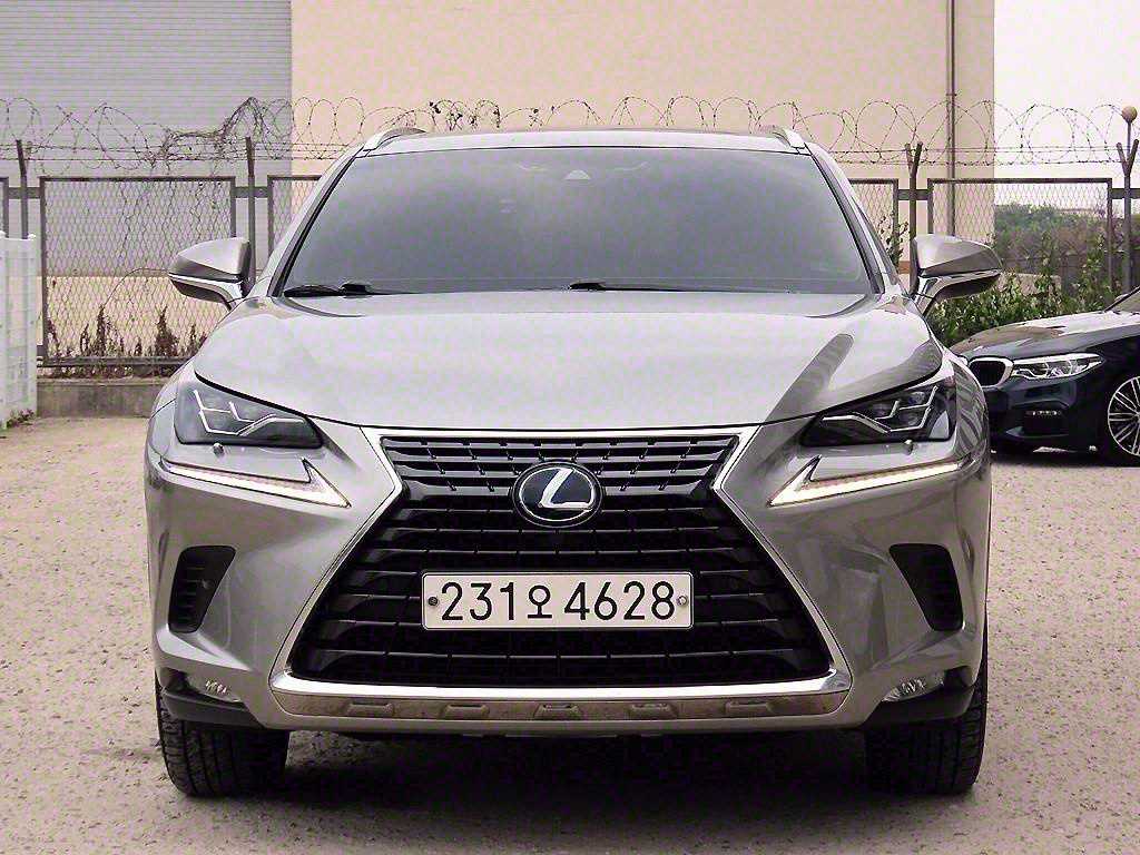  NX 300h 