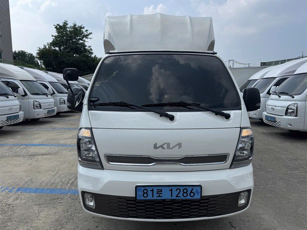   EV ž 